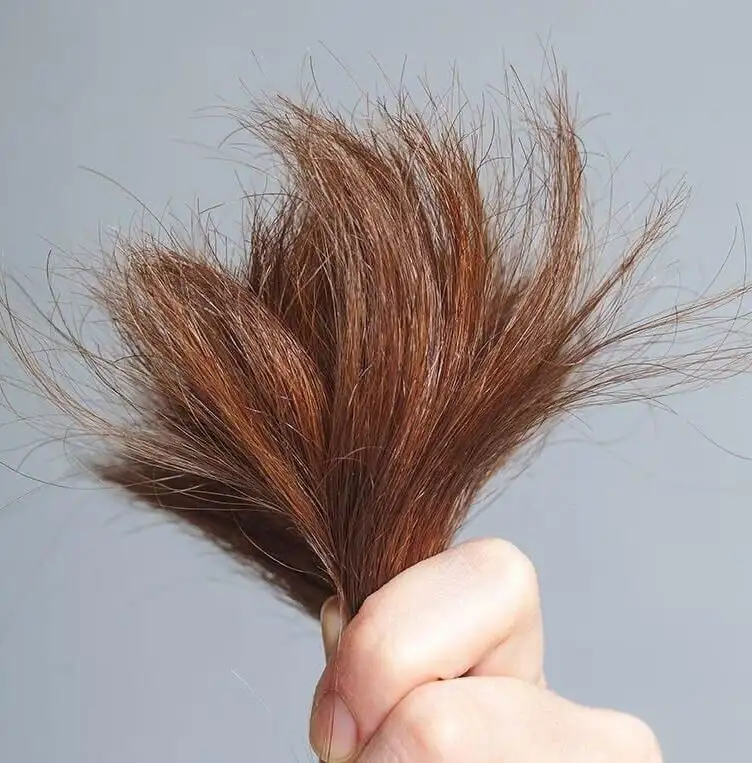 Bí Quyết Chăm Sóc Da Đầu Chống Lão Hóa: Giải Pháp Độc Quyền Từ PUTELO Cho Tóc Chắc Khỏe Tự Nhiên!