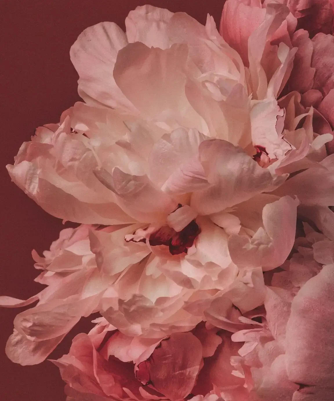 BEAUTY AND WELLNESS