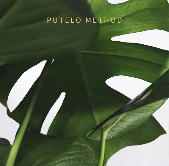 PUTELO AR Essence+ | Giải Pháp Chăm Sóc Da Đầu Chuyên Sâu Nhật Bản