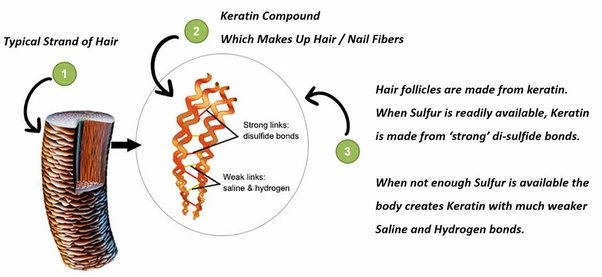 keratin là gì