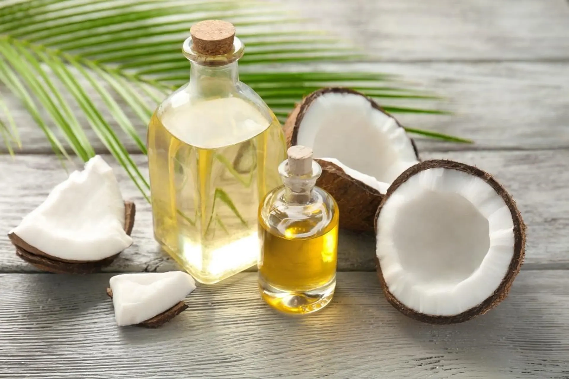 tác dụng của dầu dừa với tóc