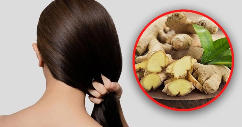 Hướng dẫn ủ tóc bằng gừng tại nhà, dưỡng tóc chắc khỏe
