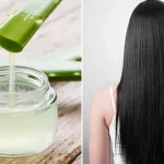 Hướng dẫn ủ tóc bằng nha đam giúp tóc bóng mượt, chắc khỏe