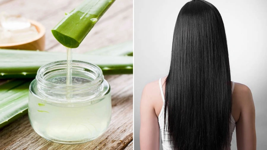 Hướng dẫn ủ tóc bằng nha đam giúp tóc bóng mượt, chắc khỏe