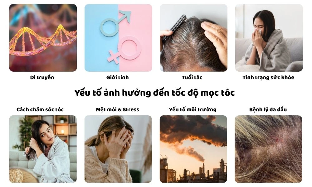 1 tuan toc moc bao nhieu cm 01