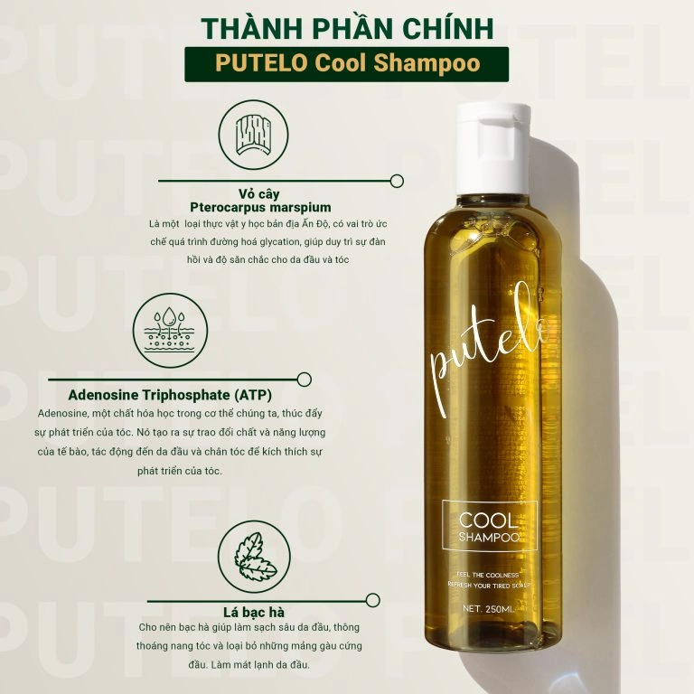 Dầu gội nào tốt hiện nay? Cách chọn dầu gội tốt chuẩn xác