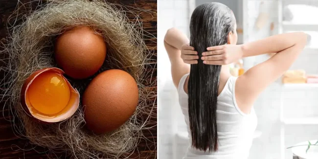 Ủ tóc bằng trứng gà tại nhà