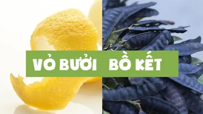 gội đầu bằng vỏ bưởi và bồ kết