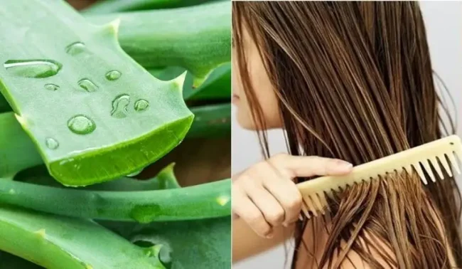 dưỡng tóc bằng nha đam